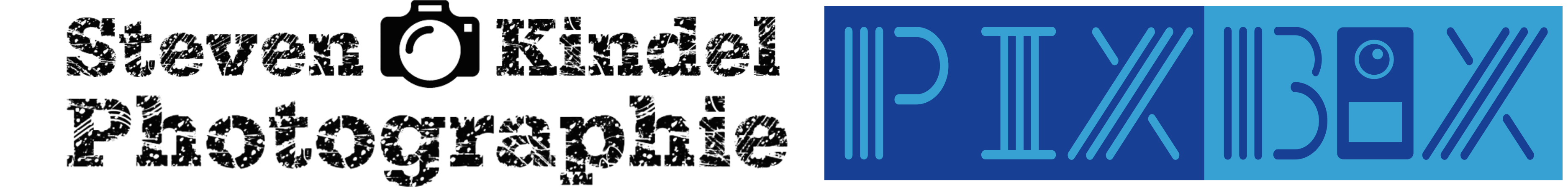 normal logo